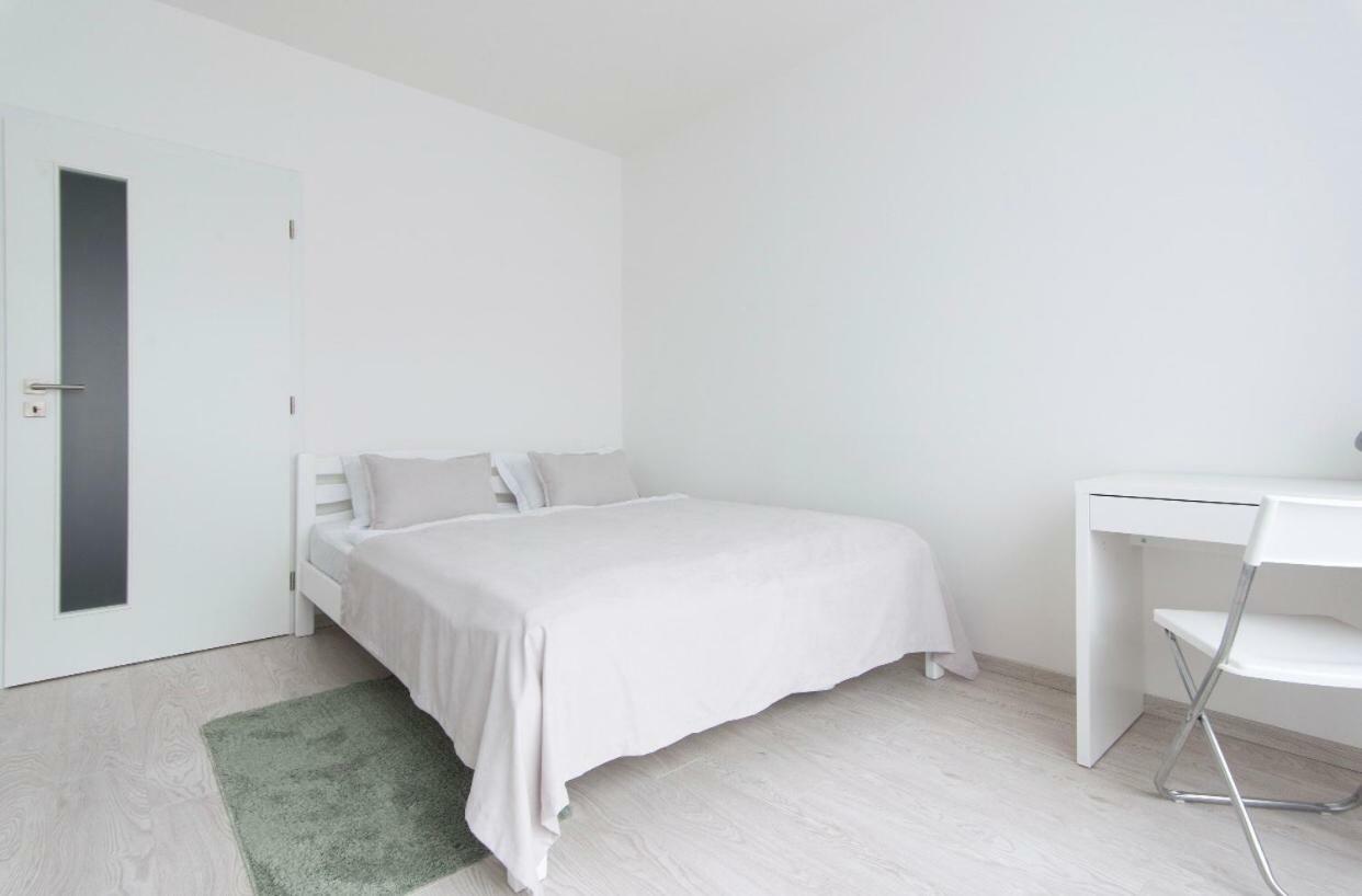 Free Parking In Garage Karolina Plazza, New Cosy Studio With All You Need Prága Kültér fotó